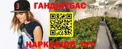 мет Дмитров